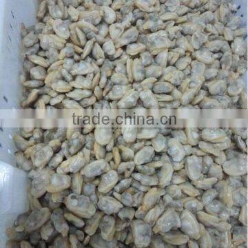 HIGH QUALITY AND HIGH QUANTITY SUPPLY FOR CLAM MEAT