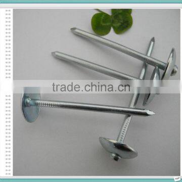 Electro Galvanized Roofing Nails/Umbrella Nails Factory