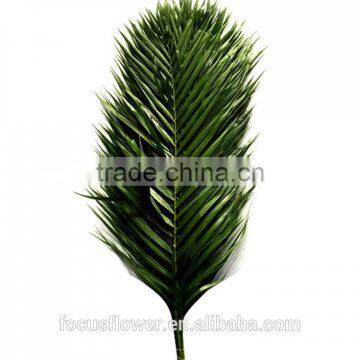 Best-quality Fresh Bulk caudate lobe Leaves Wholesale