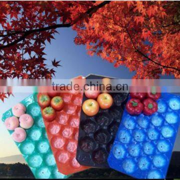 Popular Wholesale Netherlands 39X59cm Black Blue PP Apple Packaging Tray Manufacturer