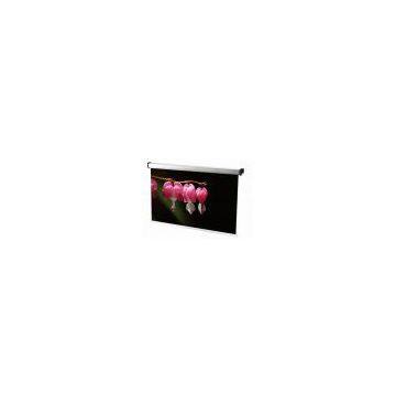 South Korea Roll Type (Dual Viewer) Projection Screen