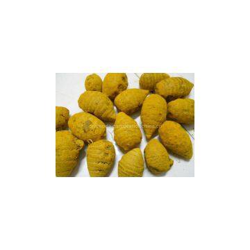 Turmeric Powder photo-3