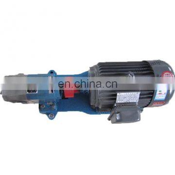 Hot sale SS304 mini gear oil rotary gear pump From China