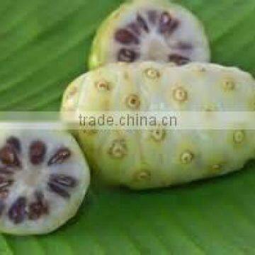 Quality Noni Capsules for sale