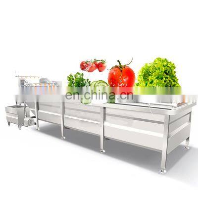 High quality air bubble leafy washing machine fruits and vegetable washer