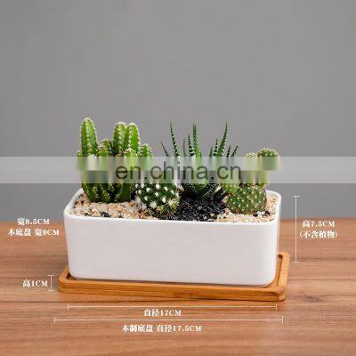 Best Selling Humanoid Succulent Giant White Planter Plant Indoor Drawing Big 1 Pot Ceramic