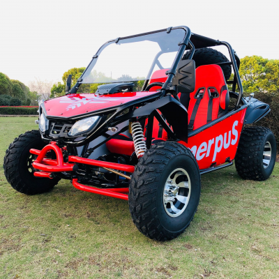 200CC Go-kart 2seat Done Buggy From Chinese Factory photo-4