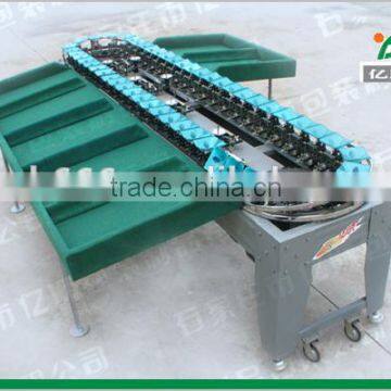 After Sale Service Provided Fruit Weight Grading Machine photo-6