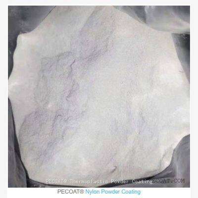 Polyamide Nylon Powder Coating Supplier PA11 PA 12 Power