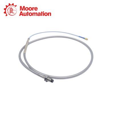 BENTLY NEVADA 330104-00-02-10-02-00 photo-4