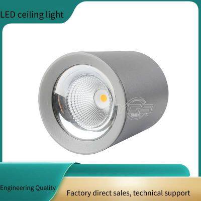 led outdoor waterproof surface-mounted ceiling light, wall-mounted surface-mounted ceiling light, cob single color