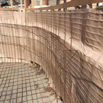 Pool Wire Mesh Steeltex Paper-Backed Welded Wire Mesh Factory Price 1.5mm 2.5mm