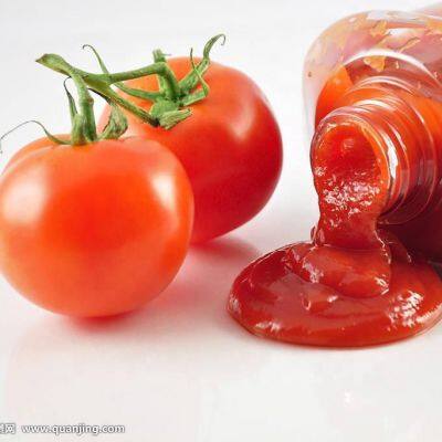 Concentrated Tomato Paste Making Machine/Tomato Paste Production Line