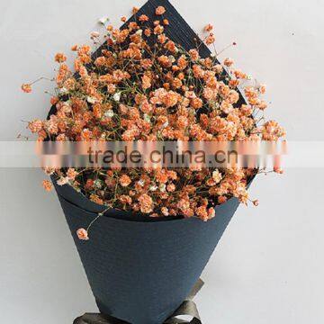 Gift hot sale newest home decoration flowers gypsophila