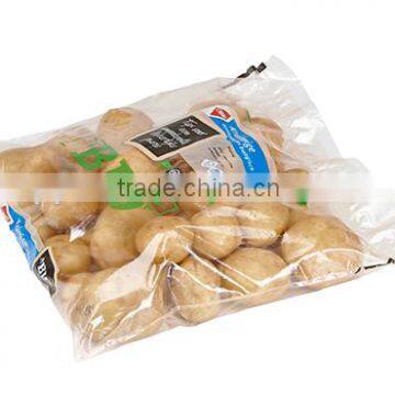 Food grade Plain plastic Ldpe Poly Bag with custom printing                        
                                                Quality Choice