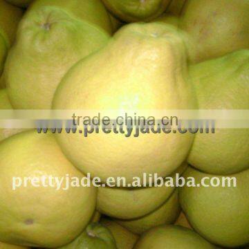 High quality chinese Fresh honey pomelo