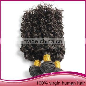 Tangle Free High Quality Unprocessed Brazilian Human Hair Afro Women Water Wave Hair Extension photo-6