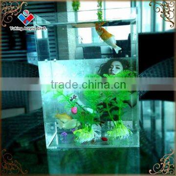 factory direct sale acrylic aquarium fish tank