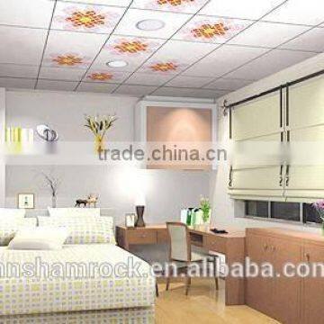 Decorative Material PVC Panels for Indoor Decoration photo-3