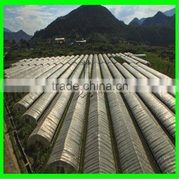 Elastic Insect Mesh Anti Bird Net for Organic Net Crop Veg Protection photo-3