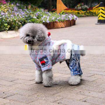 pet clothes dog