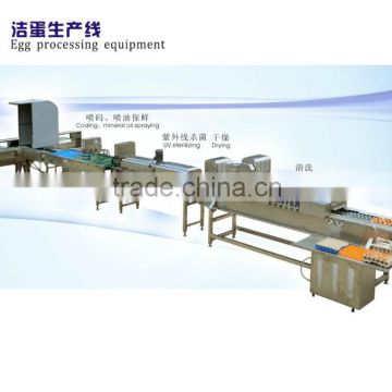 hotly sold egg processing machine