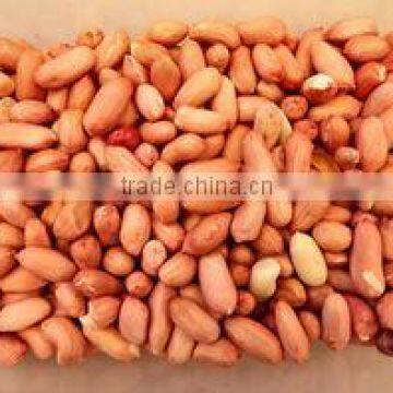 Raw Peanut nuts & kernel