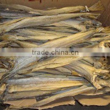 Dried Norway Stock fish for sale