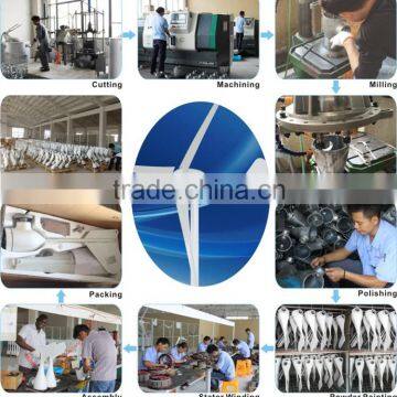 300w Horizontal Wind Generator for Sale photo-4