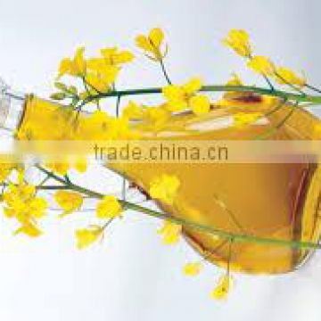 High Quality Pure Refined and Crude Rapeseed / Canola Oil Available