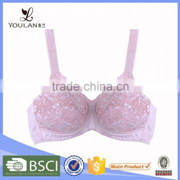 Super Quality Pretty Pattern Wholesale Sexy Net Bra Designs