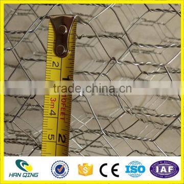 Weave Mesh Type and Hexagonal Hole Shape Hexagonal Wire Mesh for Zoo Bird Cages photo-2