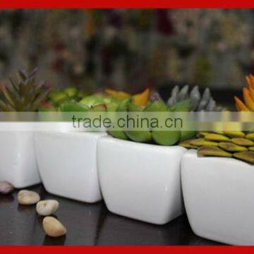 2013 Hot Selling Real Touch Lifelike Artificial Succulents