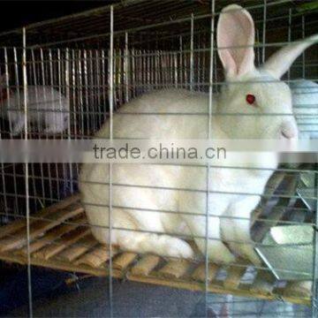 new design low price breeding rabbit cage animal cage TUV Rheinland certificated (factory)3 or 4 layer