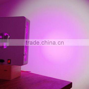 Budmaster II 1200 G.O.D LED Grow Light 300w photo-6