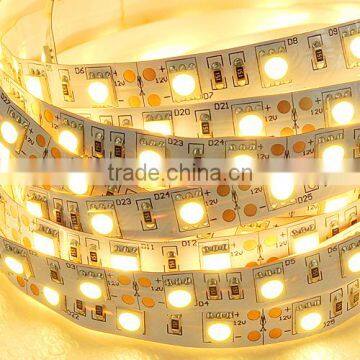 Strip lights 3-year warranty 12V SMD5050 60leds/m IP20 IP65 IP67 IP68 led strip