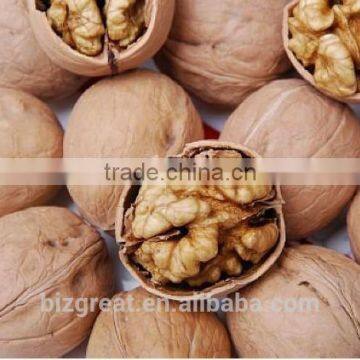 New Crop Bulk Walnut in Thin Shell for Sales photo-5