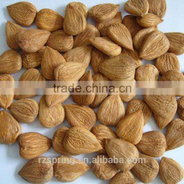 sweet apricot kernels