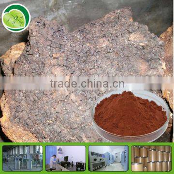 Healthcare Products Chaga Mushroom Extract