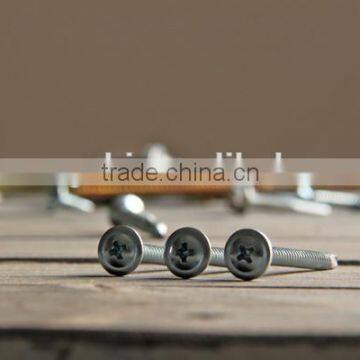 Modify Truss Head Self Drilling Screw photo-5
