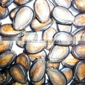 fresh chinese dry good quality watermelon seeds