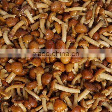 good nameko in brine in drum dalian China