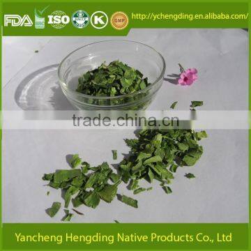 Best Price Selling of Dehydrated Leek/New Harvested Vegetables Healthy and Natural Fresh Leek