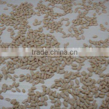 Blanched groundnut kernels