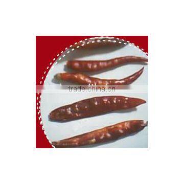 dried stemless hot red chilli pods