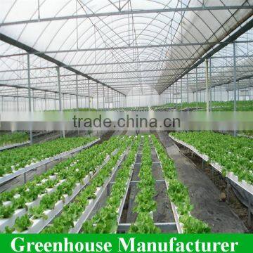 Customized High Quality Polycarbonate Sheet Agricultural Greenhouses photo-4