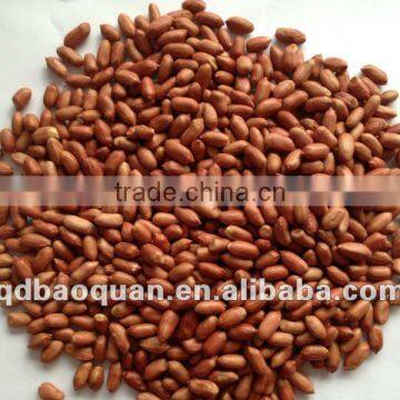 Roasted Red Skin Peanuts