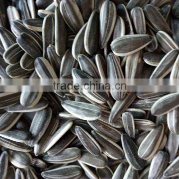 2016 new crop sunflower seeds 0409