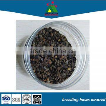 buckwheat bird feed food