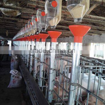 Pig Farming Breeding Equipment/ Gestation Cage/pig Cage/Monomer Sty/pig Stall/sow Single Stall/nursery Stall/farrowing Cage photo-4